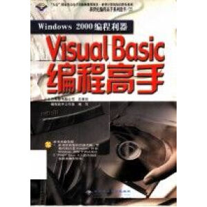 Windows 2000Visual Basic ̸(P)